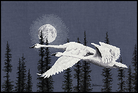 Cross Stitch TRUMPETER SWAN by Blaine Billman