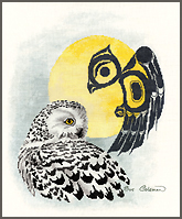 Cross-Stitch SNOWY OWL by Sue Coleman