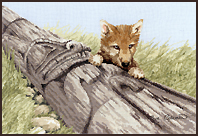 Cross Stitch WOLF PUP by Sue Coleman