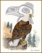 Cross Stitch EAGLE by Sue Coleman